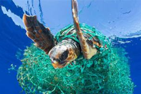 ‘ILHA DE LIXO’ NO OCEANO TEM TAMANHO DE TRÊS ESTADOS DE MINAS GERAIS