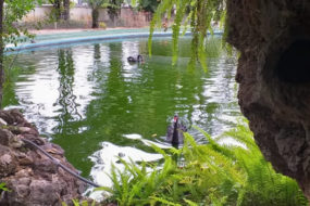 PALÁCIO DA LIBERDADE ABRE PARA VISITAÇÃO NESTE FIM DE SEMANA